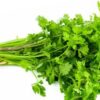 Coriander(धनिया)
