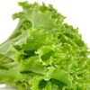 Lettuce (सलाद साग)-200g