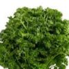 Parsley (पार्शले)-50g